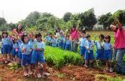 Kunjungan ke Kebun Sayur