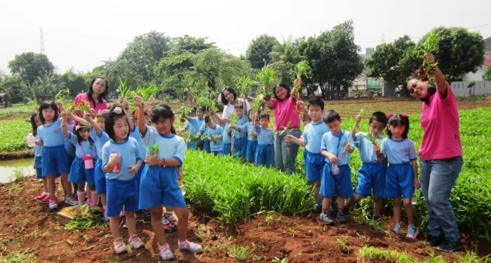 Kunjungan ke Kebun Sayur