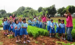 Kunjungan ke Kebun Sayur